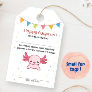 Axolotl Doll Adoption Certificate Card